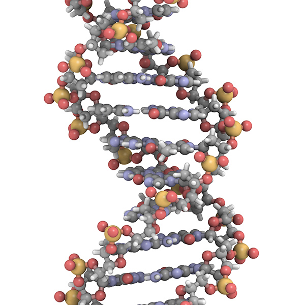 DNA structure - population scale NGS diagnostics